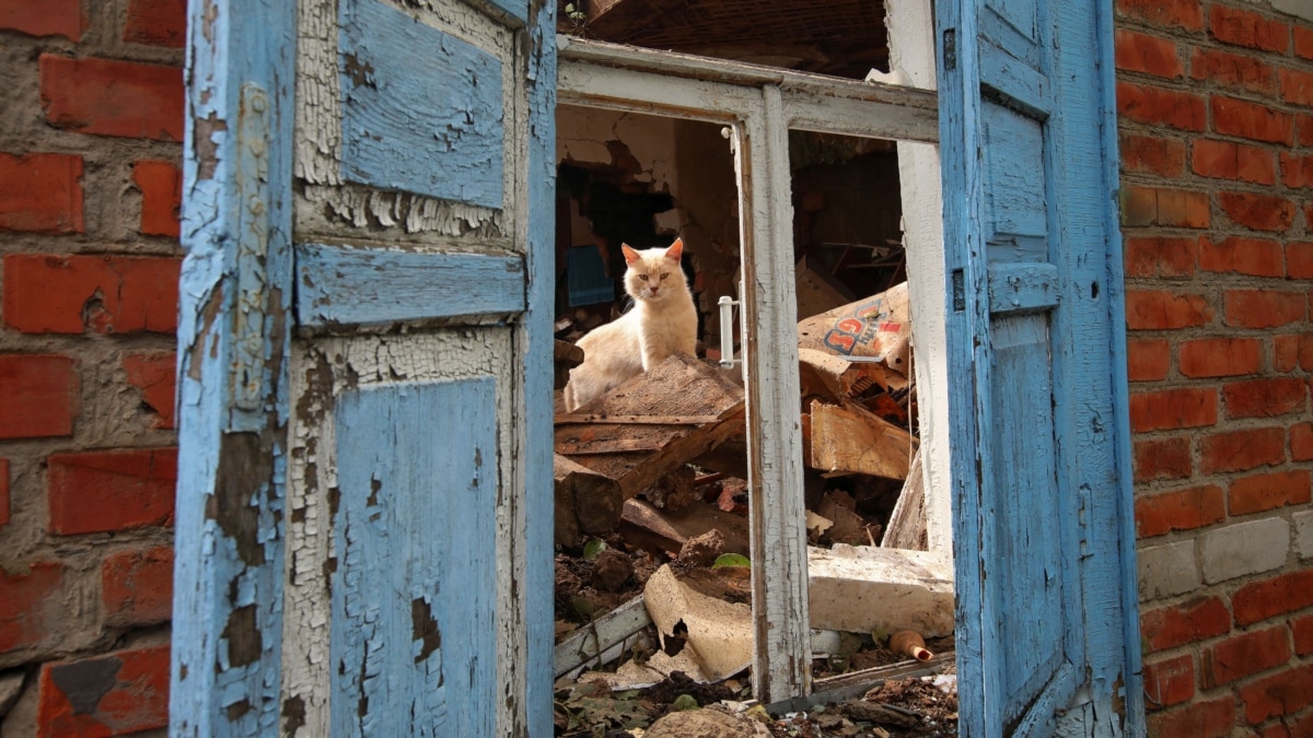 У Новоселівському не вціліла жодна будівля. Луганська ОВА показала руйнування (відео)